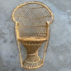 Peacock Chair | Why rent when you can buy this!